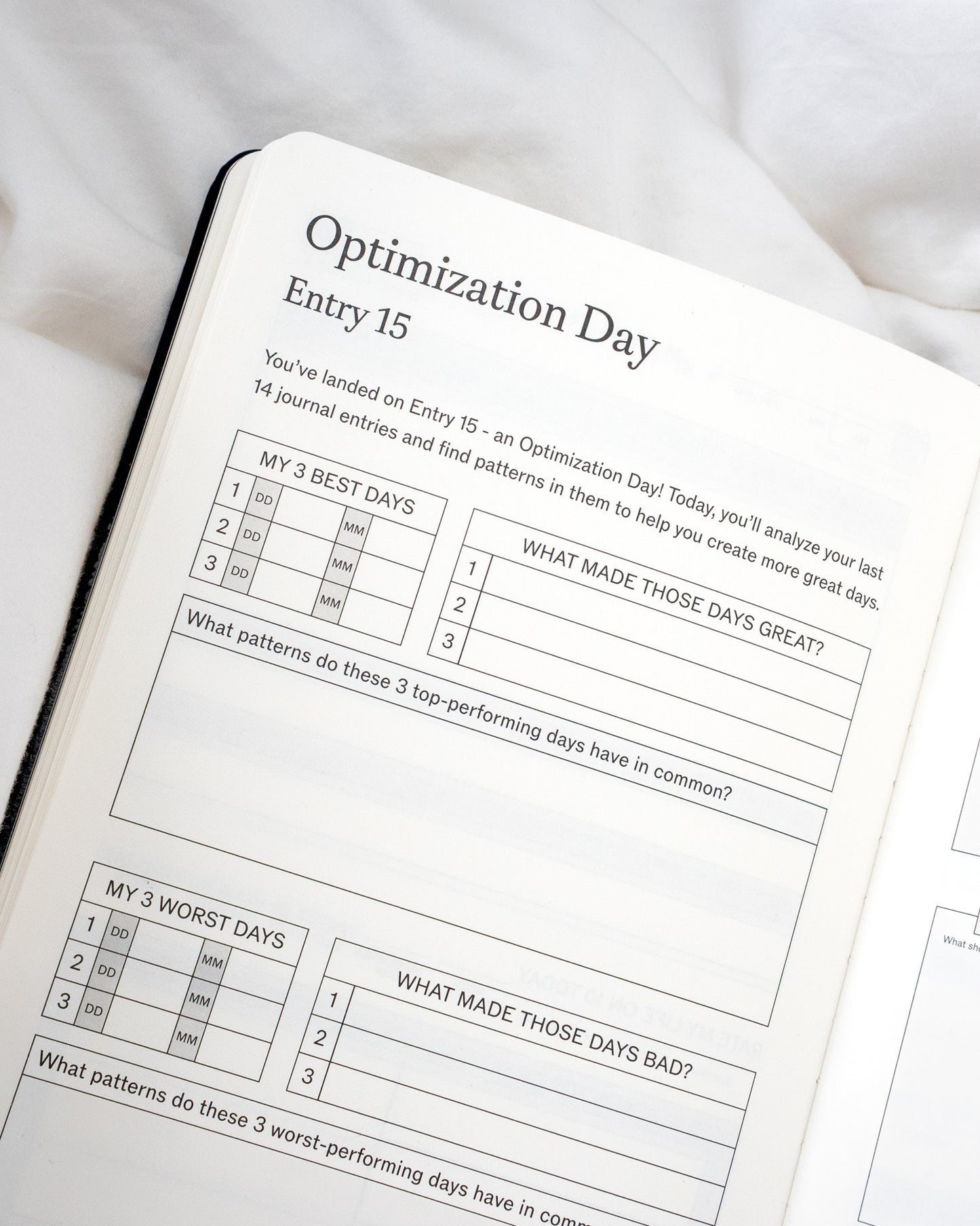 Better You Bundle - SprouhtSprouht