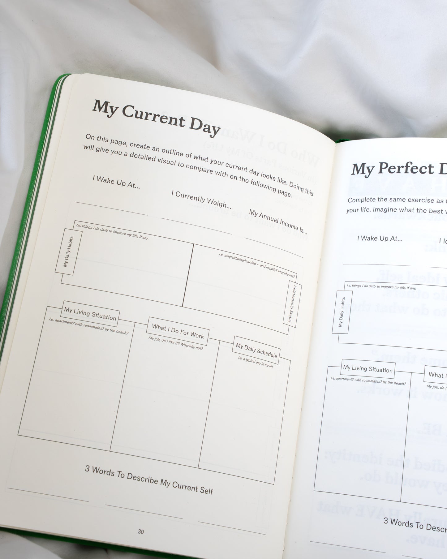 Better You Bundle - SprouhtSprouht