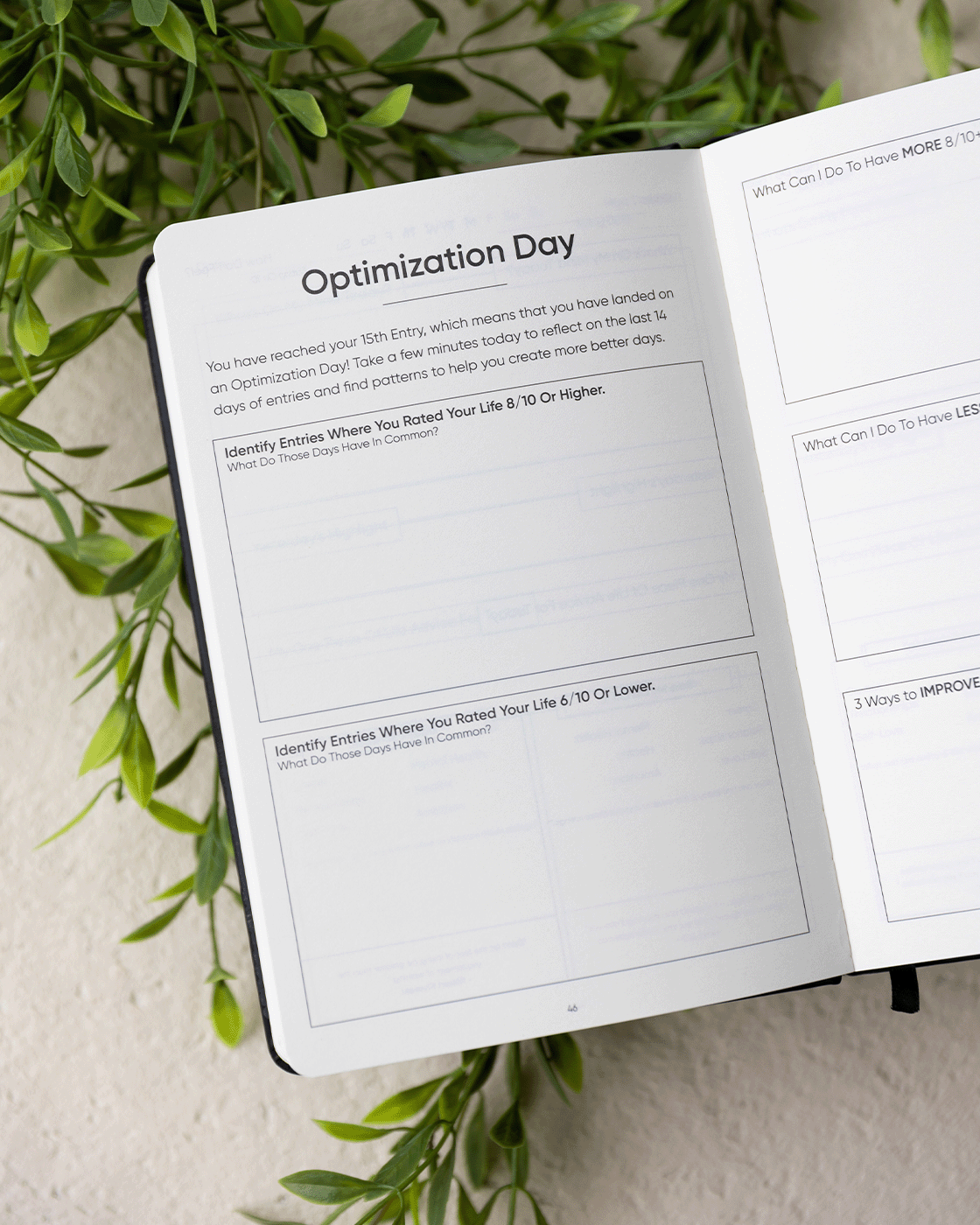 Daily Improvement Journal – Sprouht