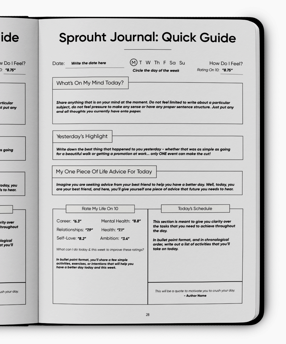 Daily Improvement Journal